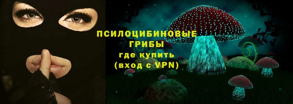 индика Навашино