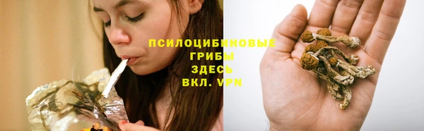 соль курить ск Богородицк