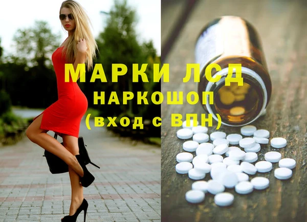 ГАЛЛЮЦИНОГЕННЫЕ ГРИБЫ Михайлов